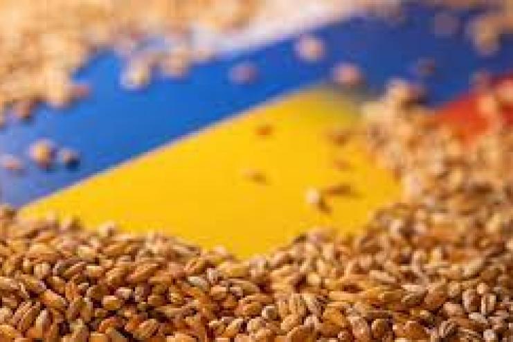 Посівна озимих культур цього року може впасти на 60% - міністр агрополітики